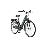 FISCHER E-Bike City CITA 4.1i, Elektrofahrrad, grün matt, 28 Zoll, RH 44 cm, Mittelmotor 65 Nm, 36 V Akku im Rahmen