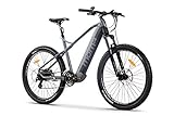 Moma Bikes Unisex - Erwachsene E-MTB 29 Zoll, Elektrische Fahrrad VAE Mountain Bike, E-29, Aluminium Shimano 7 V, Grau, L-XL