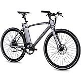 CHRISSON 28 Zoll E-Bike City Bike eOCTANT grau matt - Elektrofahrrad Urban Bike mit Aikema Hinterrad -Nabenmotor 250W, 36V, 40 Nm, Pedelec für Damen und Herren, praktisches E-City Bike