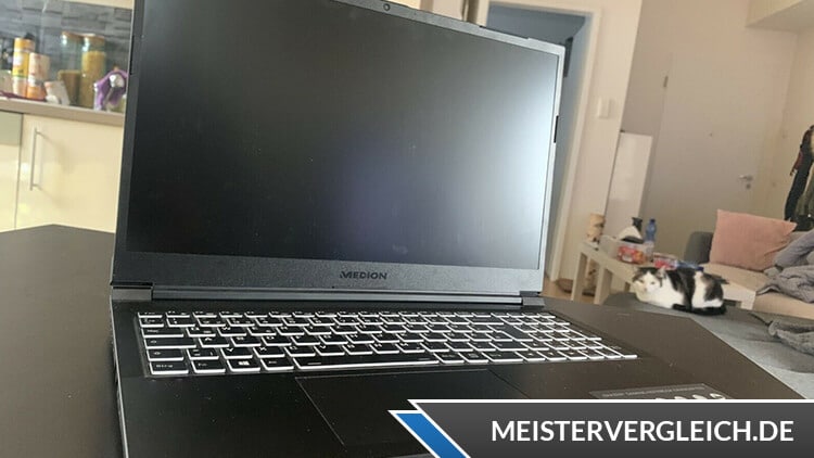MEDION ERAZER Beast X25 MD63805 Gaming Laptop