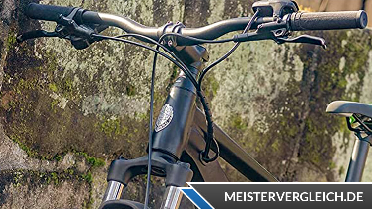 Allegro E-Bike MTB Young Hardtail 400 Lenkrad