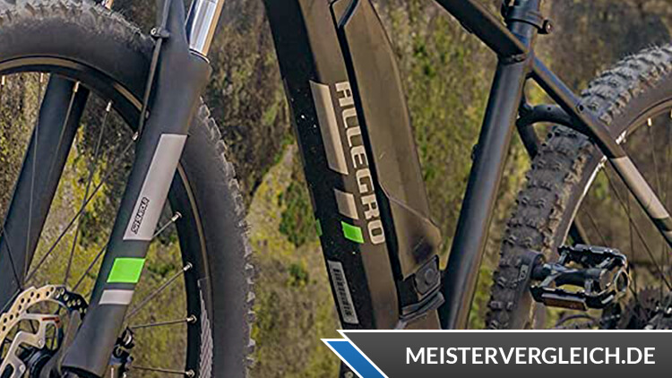 Allegro E-Bike MTB Young Hardtail 400 Rahmen