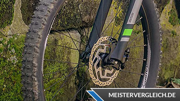 Allegro E-Bike MTB Young Hardtail 400 Test