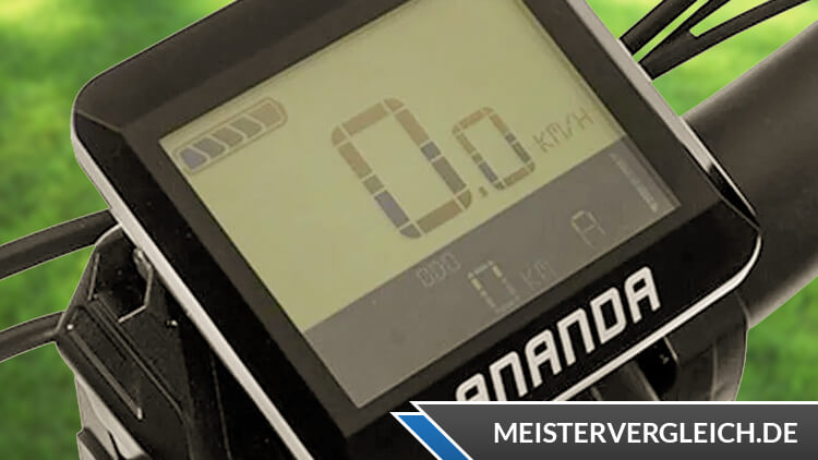 Allegro E-Bike Trekking S 418 Test